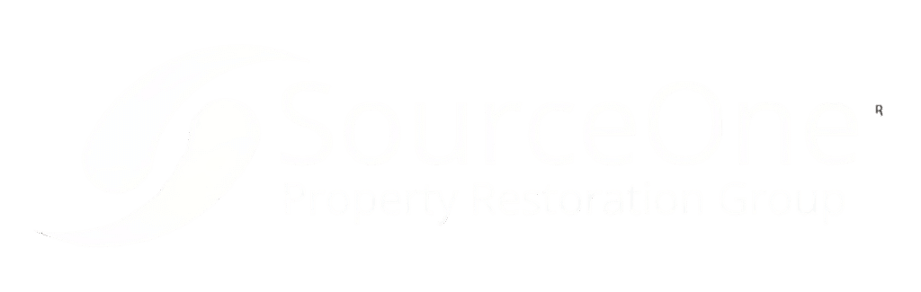 SourceOne Logo, white in color