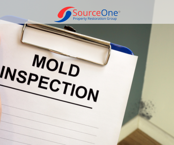 Mold Testing Checksheet