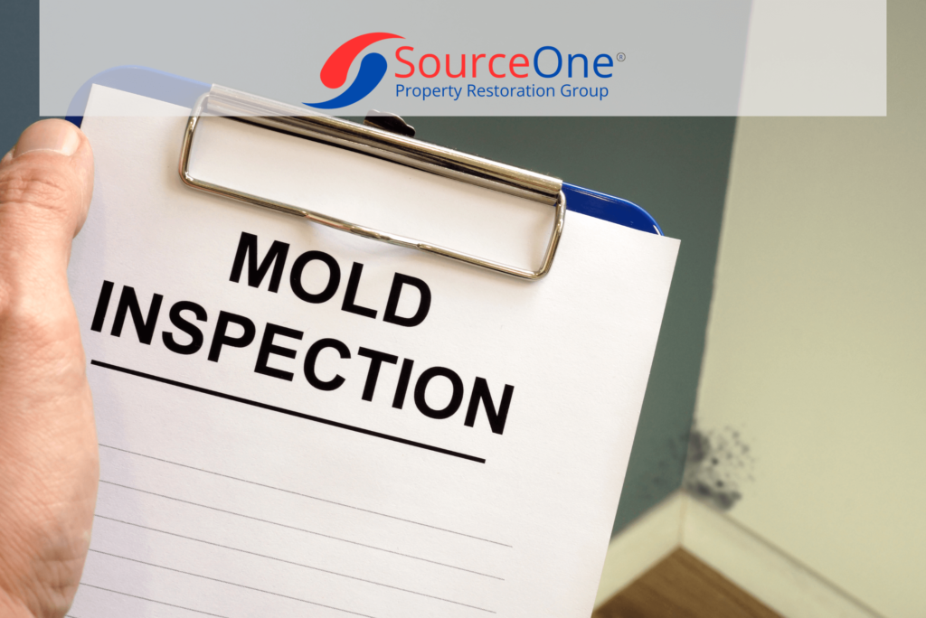 Free Mold Inspection.