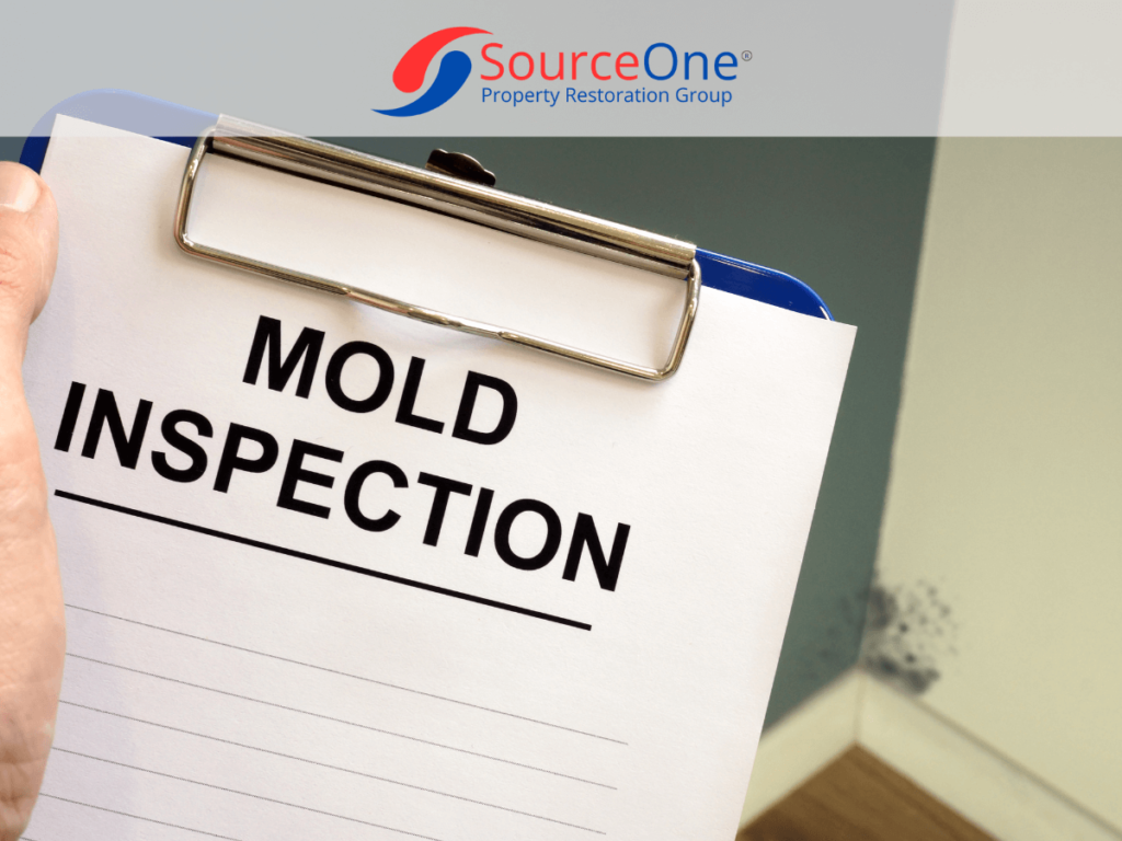 Mold Inspection Checksheet