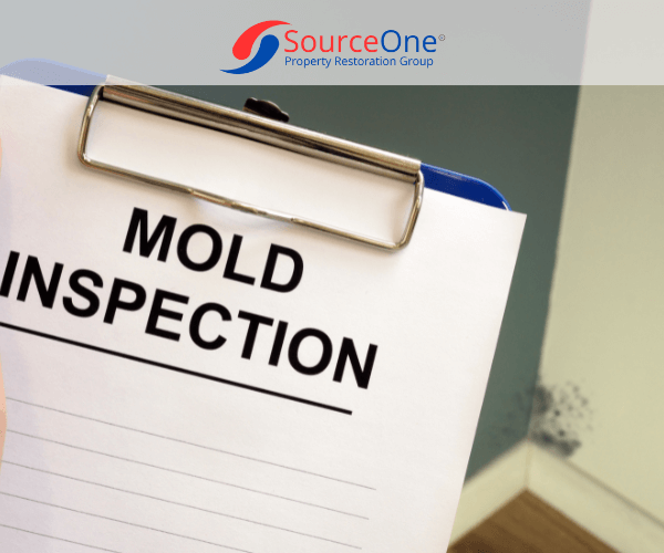 Mold Inspection Checksheet