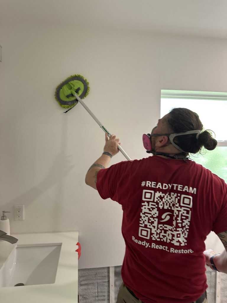 Technician cleaning mold off a wall