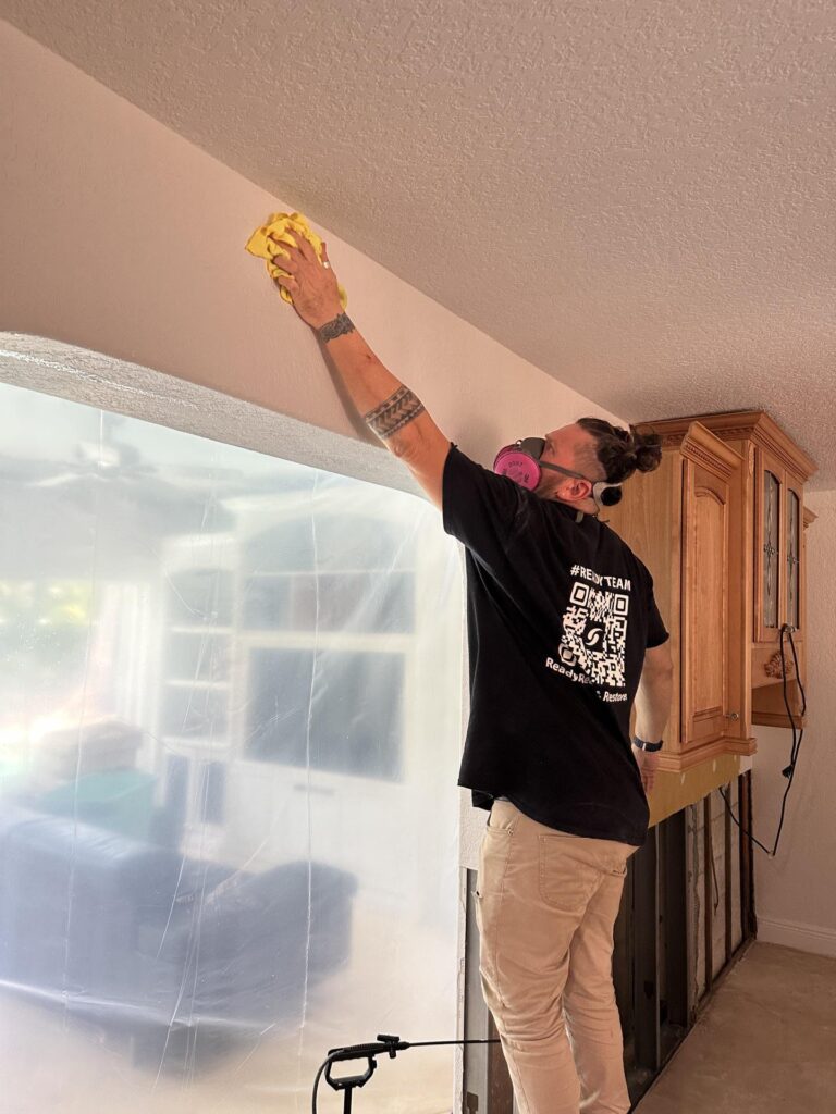 Mold Remediation & Surface Cleaning by Technician